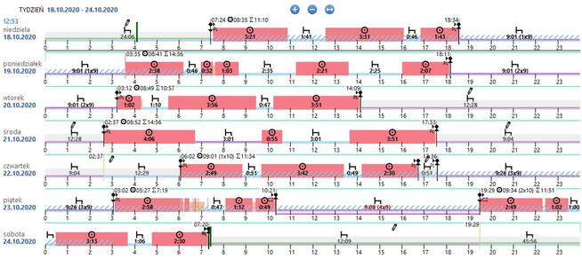 Sprawdzanie Naruszeń Czasu Pracy ITD