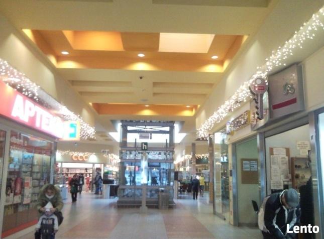 Ekspertyzy elektryczne, teletechniczne, biegły sądowy