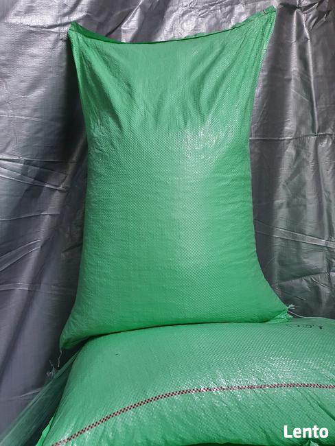 ŁUBIN nasiona łubinu sonet regent dalbor zeus karo słodki