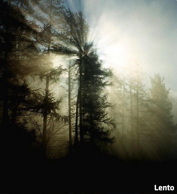 Mężczyzna bez wielkich wymagań