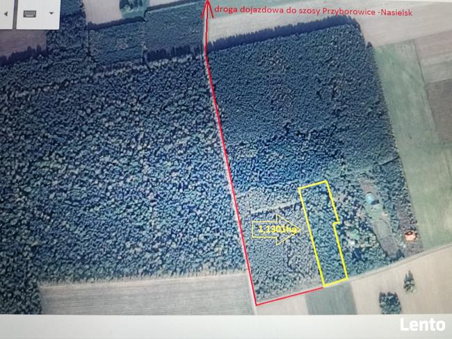 Malowniczo położona działka pod siedlisko lub rekreacje