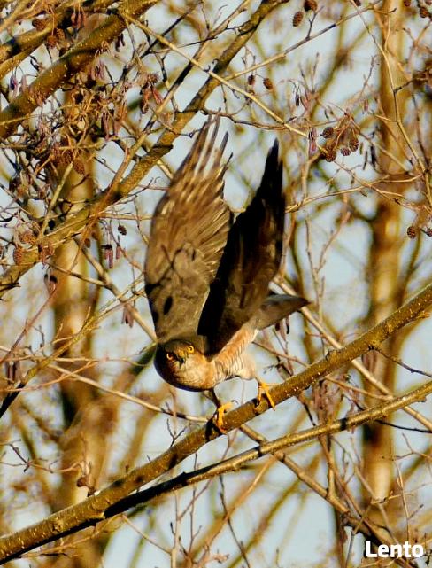 Mężczyzna bez wielkich wymagań