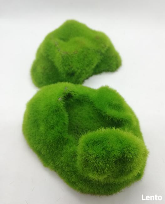 Dekoracje do akwarium MECH z nasionami, KI POUSS