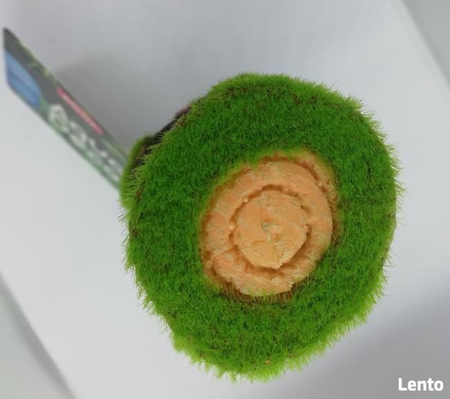 Ozdoby akwariowe PIEŃ L rośliny do akwarium z nasionami