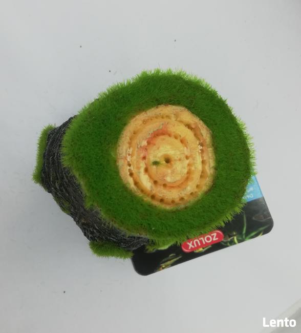 Dekoracje akwariowe PIEŃ S z nasionami, KI POUSS