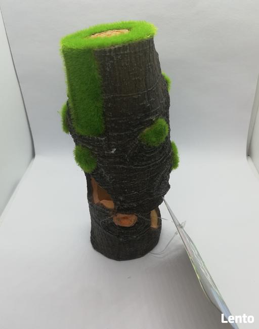 Ozdoby akwariowe PIEŃ L rośliny do akwarium z nasionami