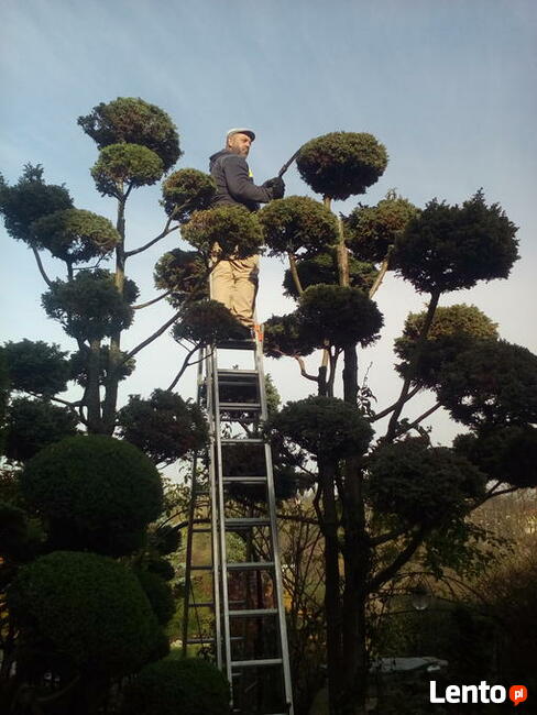 Pielęgnacja ogrodów