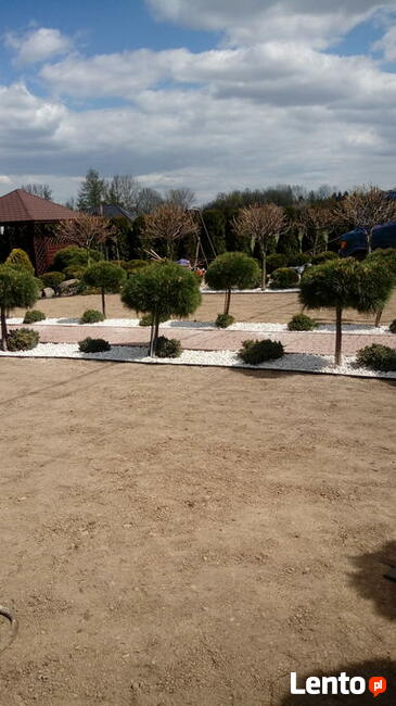 Pielęgnacja ogrodów