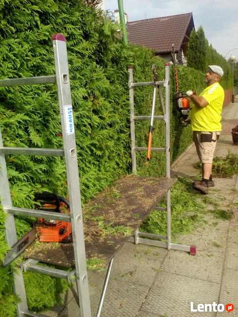 Pielęgnacja ogrodów