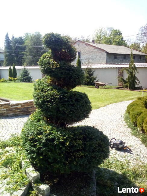 Pielęgnacja ogrodów