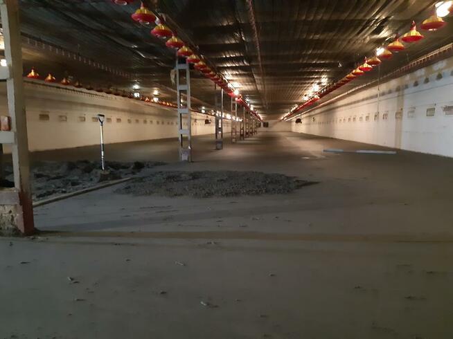 Posadzki maszynowe Andrespol Brójce Tuszyn Rzgów Nowosolna