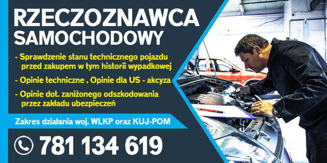 Rzeczoznawca Motoryzacyjny PZMOT , opinie, zabytek, oc