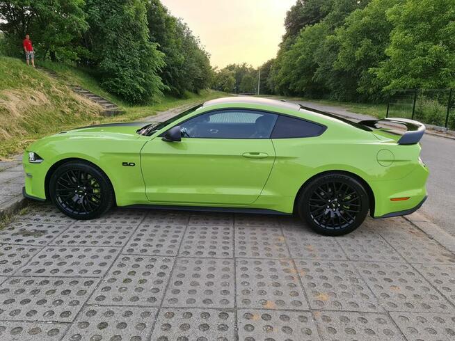 Ford Mustang GT - wynajem długoterminowy - cała Polska