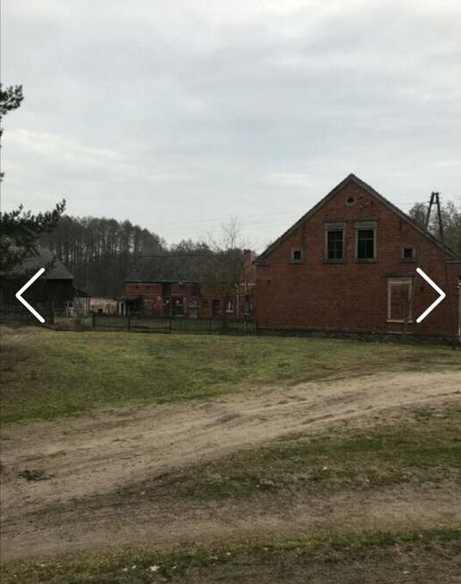 Duży DOM W LESIE bez sąsiadów KRZESIN blisko granicy Cybinka