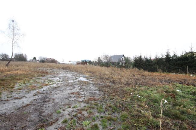 Działka Budowlana (6600 m2) okolice Różanej (Syców)