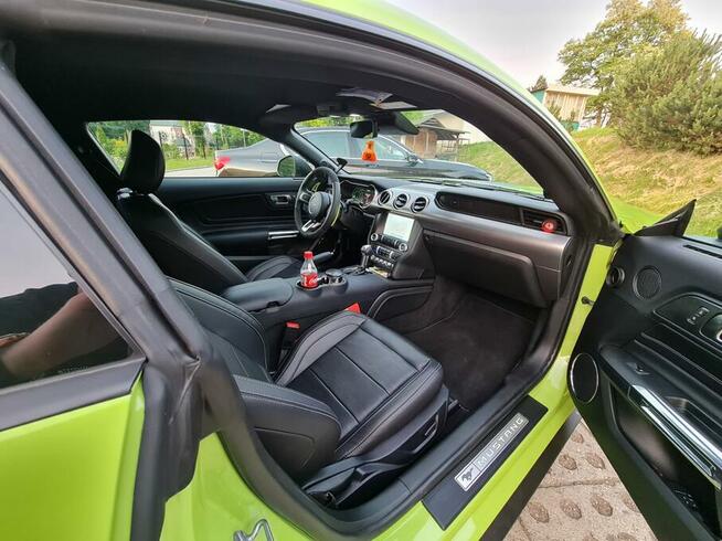 Ford Mustang GT - wynajem długoterminowy - cała Polska