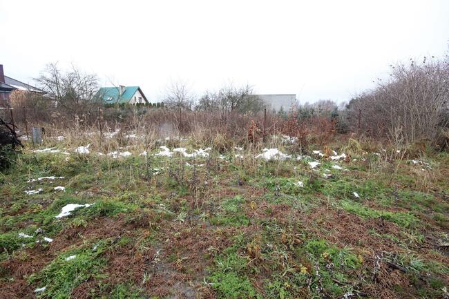 Działka Budowlana (6600 m2) okolice Różanej (Syców)