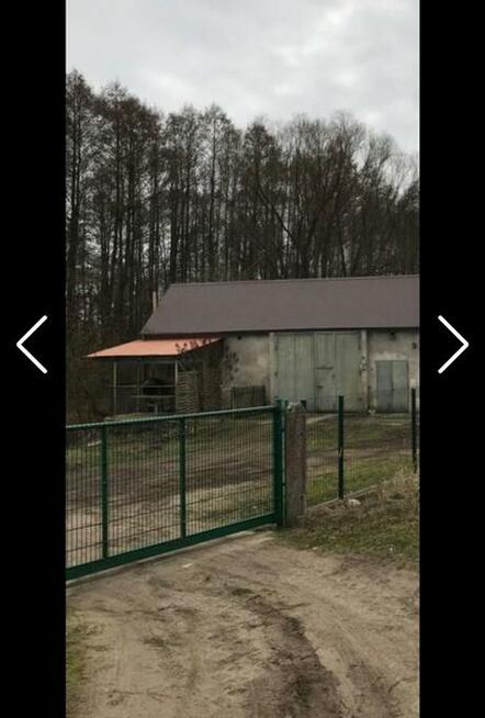 Duży DOM W LESIE bez sąsiadów KRZESIN blisko granicy Cybinka