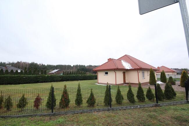 Działka Budowlana (6600 m2) okolice Różanej (Syców)