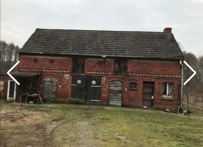 Duży DOM W LESIE bez sąsiadów KRZESIN blisko granicy Cybinka