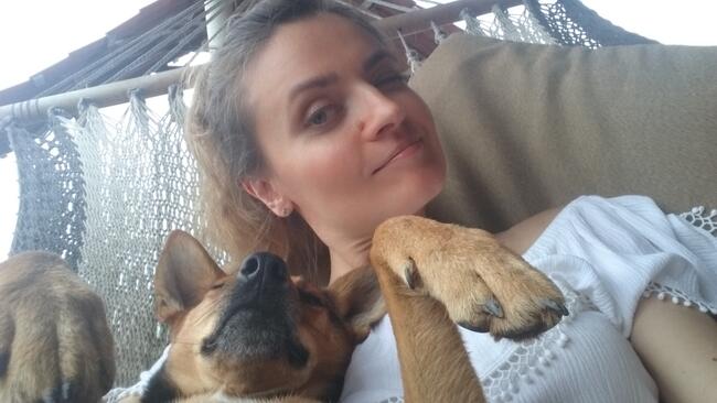 Opieka dla psa/kota/psi hotel/petsitter/Wola ul.Nowolipki