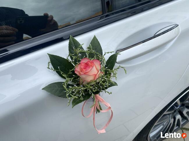 Auto do ślubu najnowsze BMW 750L LANG BIAŁA PERŁA