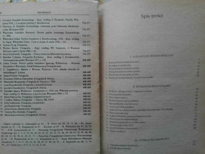 DZIEJE literatury polskiej - Julian Krzyżanowski