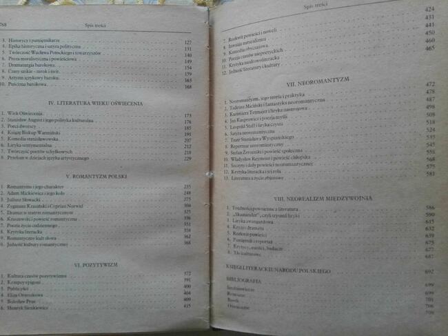 DZIEJE literatury polskiej - Julian Krzyżanowski