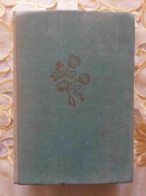 DZIEJE literatury polskiej - Julian Krzyżanowski