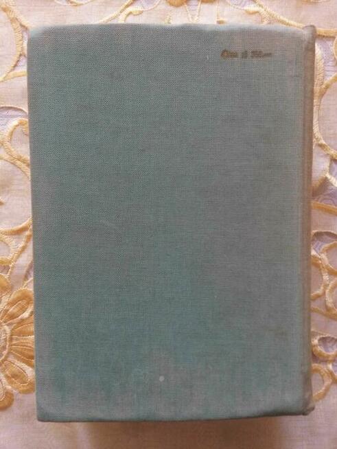 DZIEJE literatury polskiej - Julian Krzyżanowski