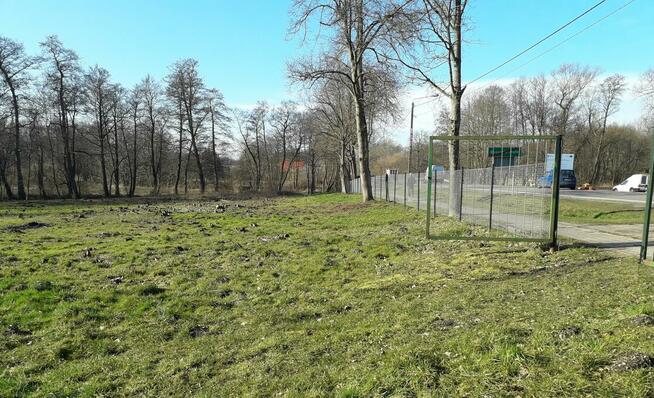 sprzedam działki rolne