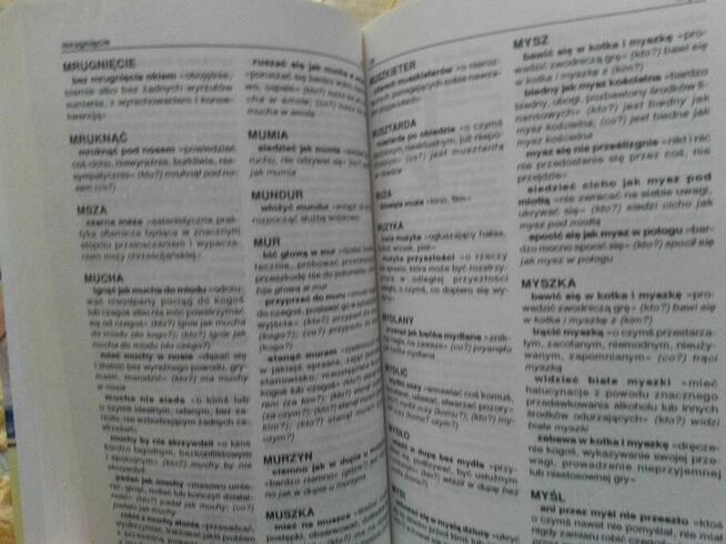 szkolny SŁOWNIK FRAZEOLOGICZNY - Z. Dominów, M. Dominów