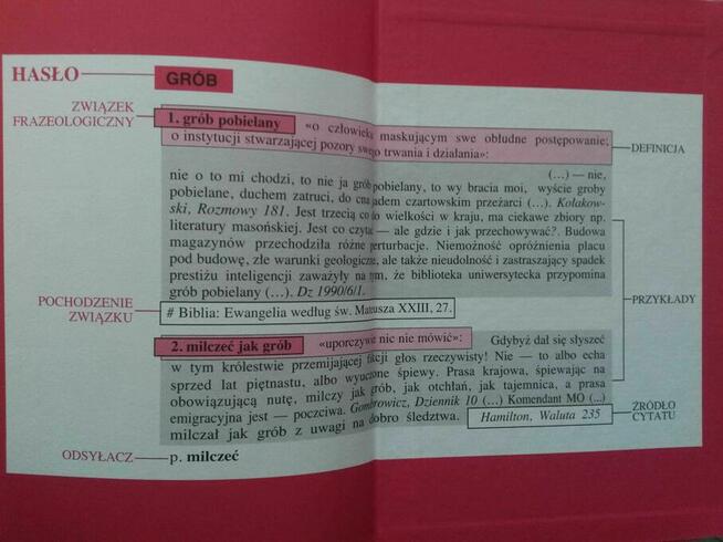 Podręczny słownik frazeologiczny języka polskiego - Bąba...