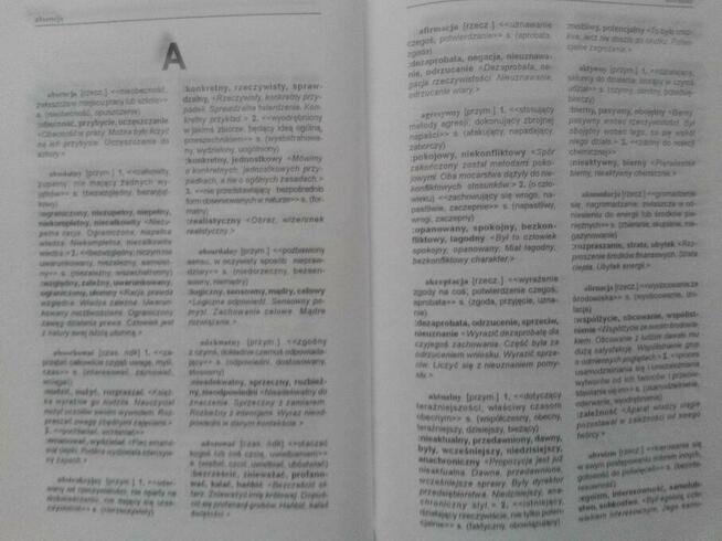 Słownik wyrazów przeciwstawnych - Regina Matys