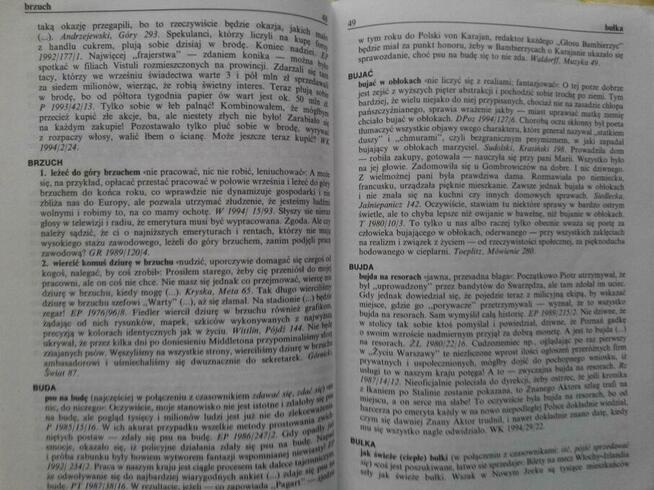 Podręczny słownik frazeologiczny języka polskiego - Bąba...