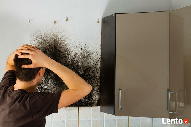 Usługi antyalergiczne, odkażające, piorące, lecznicze: OZON.