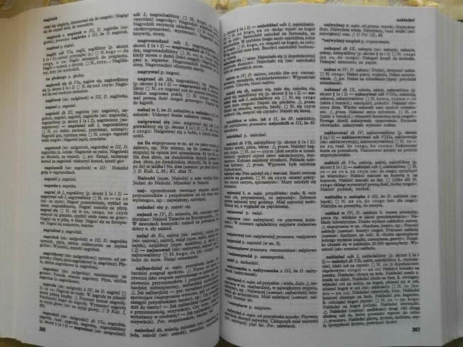 SŁOWNIK POPRAWNEJ POLSZCZYZNY - red. naczel. W. Doroszewski