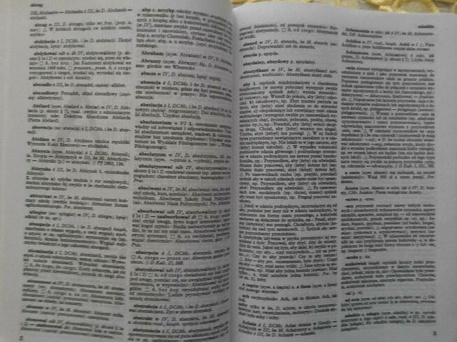 SŁOWNIK POPRAWNEJ POLSZCZYZNY - red. naczel. W. Doroszewski