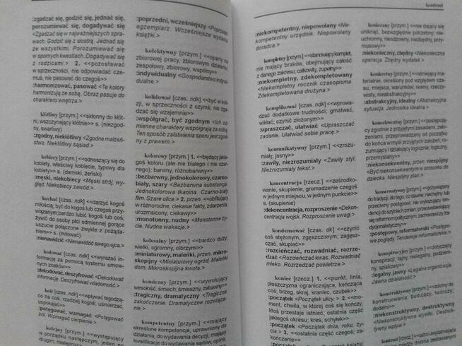 Słownik wyrazów przeciwstawnych - Regina Matys