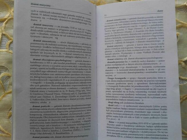 Podręczny słownik terminów literackich p. r. J. Sławińskiego