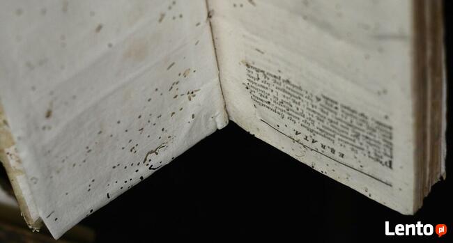 Usługi antyalergiczne, odkażające, piorące, lecznicze: OZON.