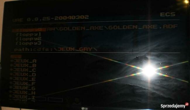 Amiga na ps2 PlayStation 2