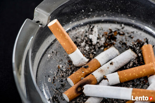 Usługi antyalergiczne, odkażające, piorące, lecznicze: OZON.