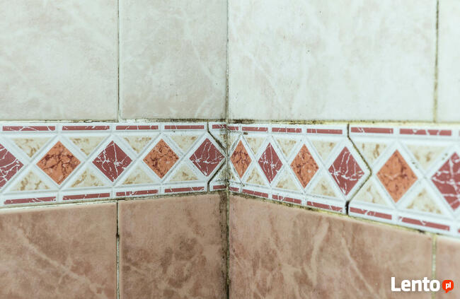 Usługi antyalergiczne, odkażające, piorące, lecznicze: OZON.