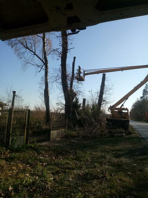 Wycinka drzew, również trudno dostępnych.