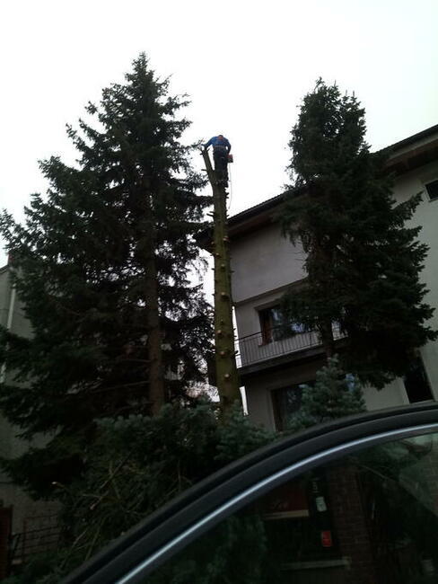 Wycinka drzew, również trudno dostępnych.