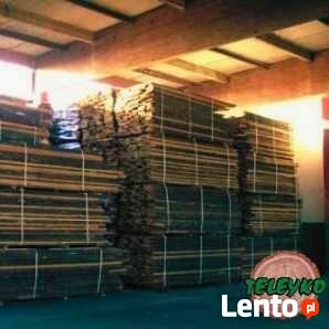 Tarcica suszona sosnowa, olchowa, buk, świerk - producent