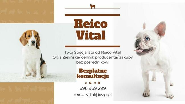 Karma Reico specjalista /sprzedaż on-line / doradztwo