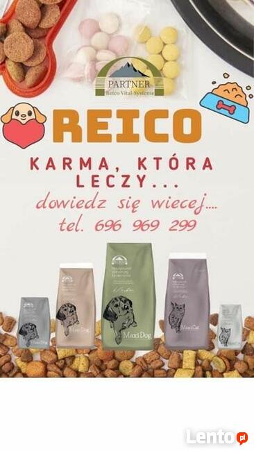 Karma Reico specjalista /sprzedaż on-line / doradztwo