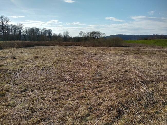 Koszenie trawy , kosiarka bijakowa ,rębak mielarka